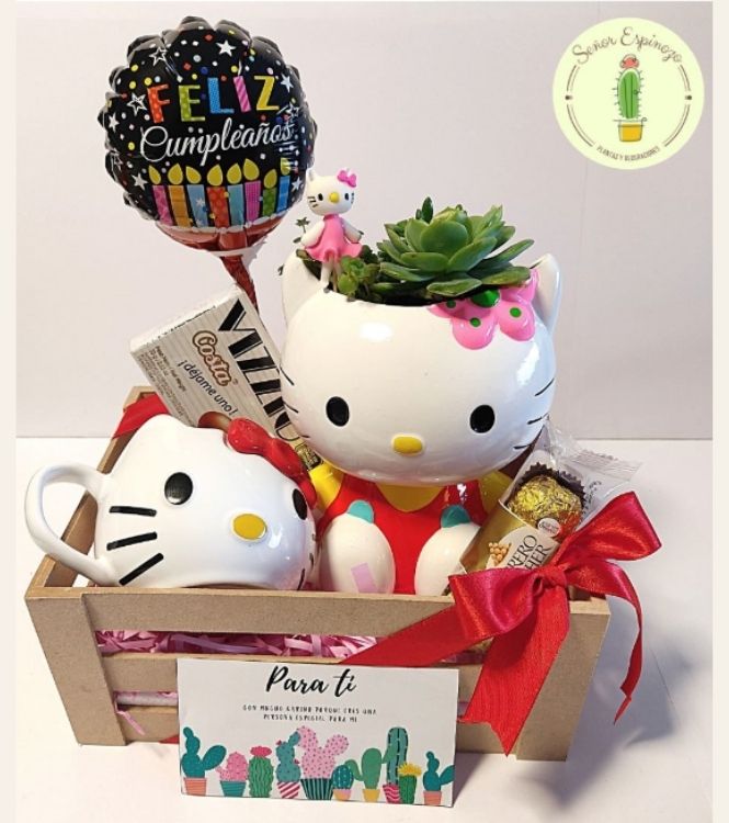 Box Hello Kitty