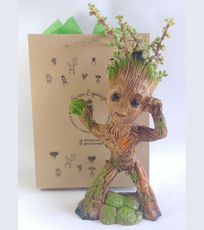 Maceta Groot bailarín